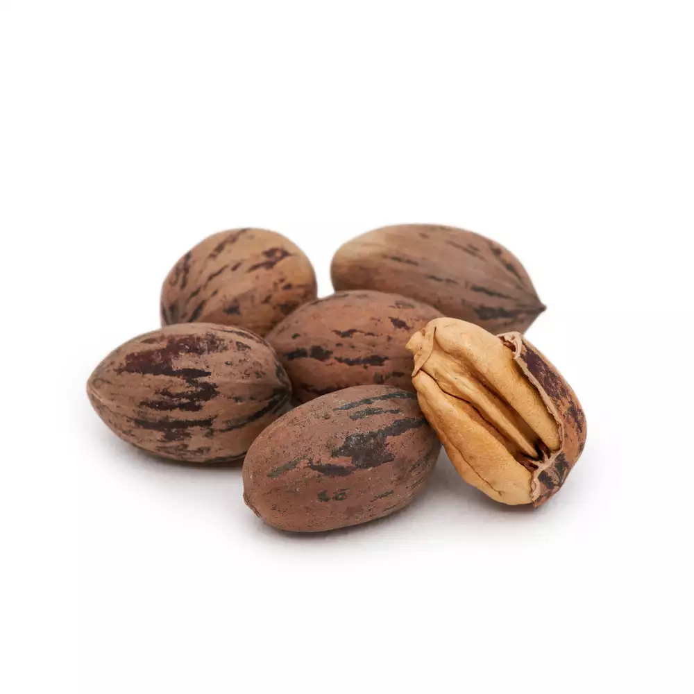 گردو پکان با پوست