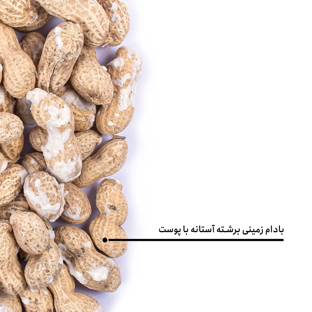 بادام زمینی برشته آستانه اعلی با پوست - Image 4