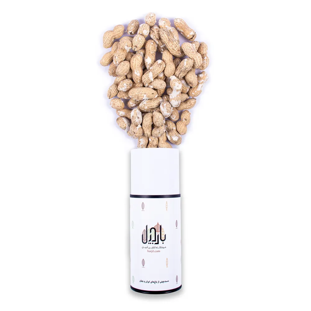 بادام زمینی برشته آستانه اعلی با پوست - Image 5