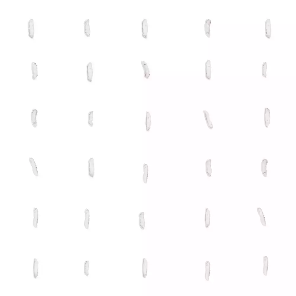 برنجک - Image 3