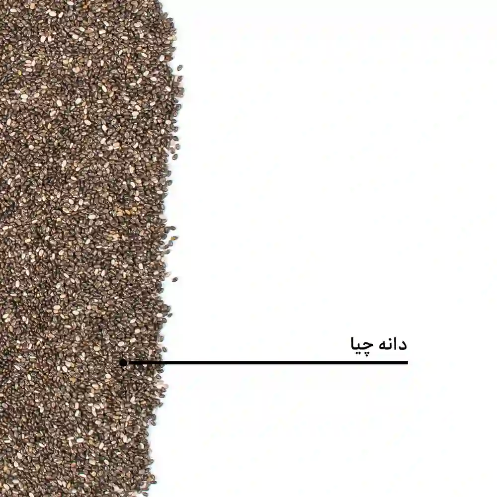 دانه چیا - Image 4