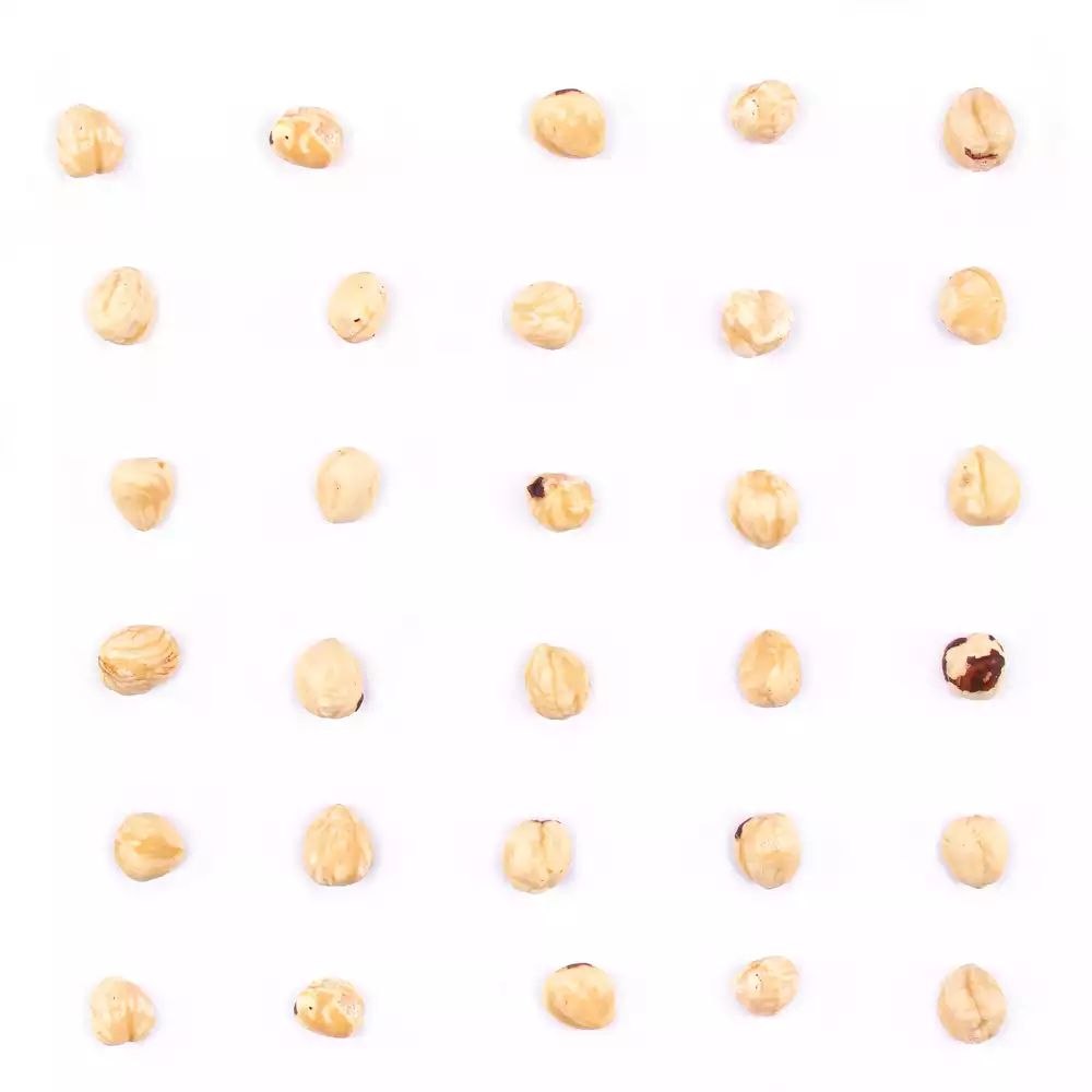 مغز فندق خام ممتاز - Image 3