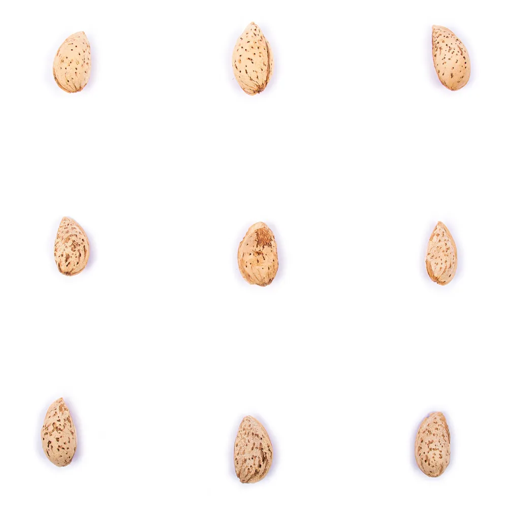 بادام منقا خام ایرانی اعلی - Image 3