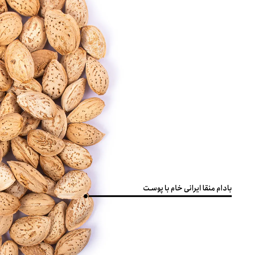 بادام منقا خام ایرانی اعلی - Image 4