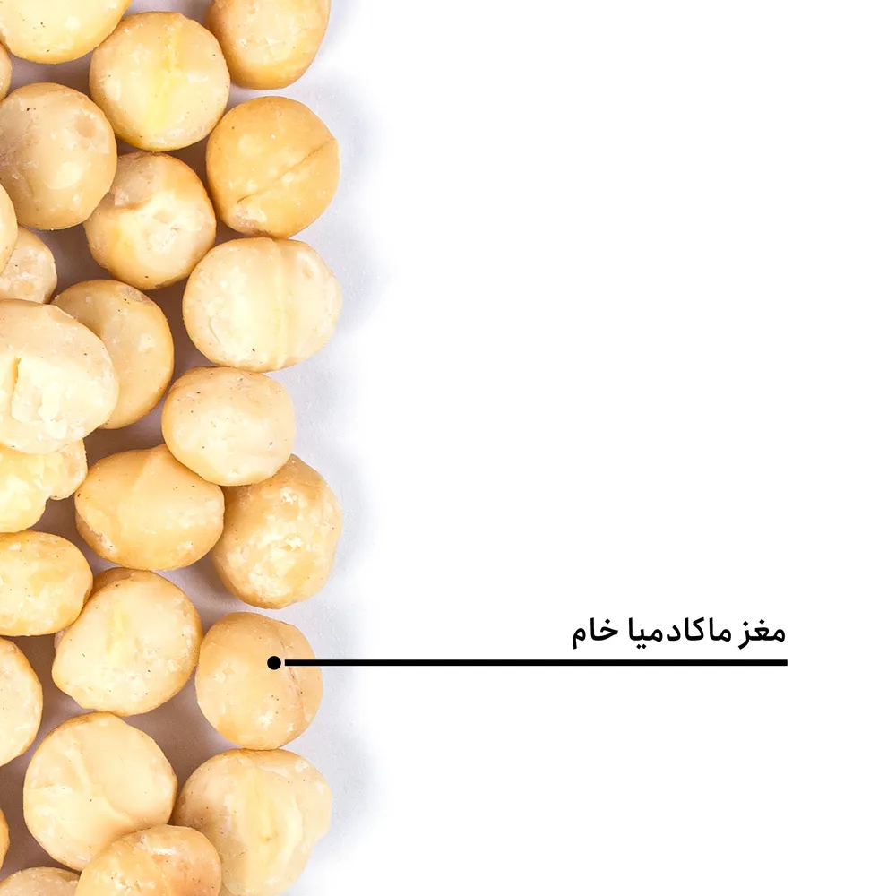 مغز ماکادمیا خام - Image 4