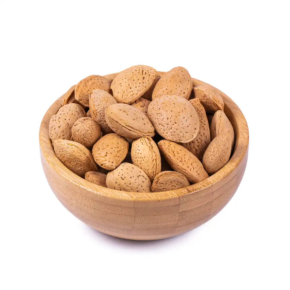 بادام سنگی - Image 2