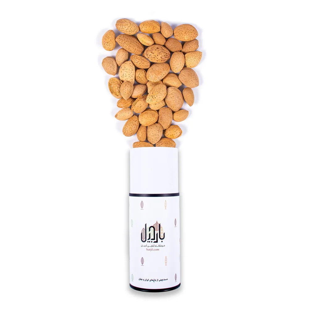 بادام سنگی - Image 5