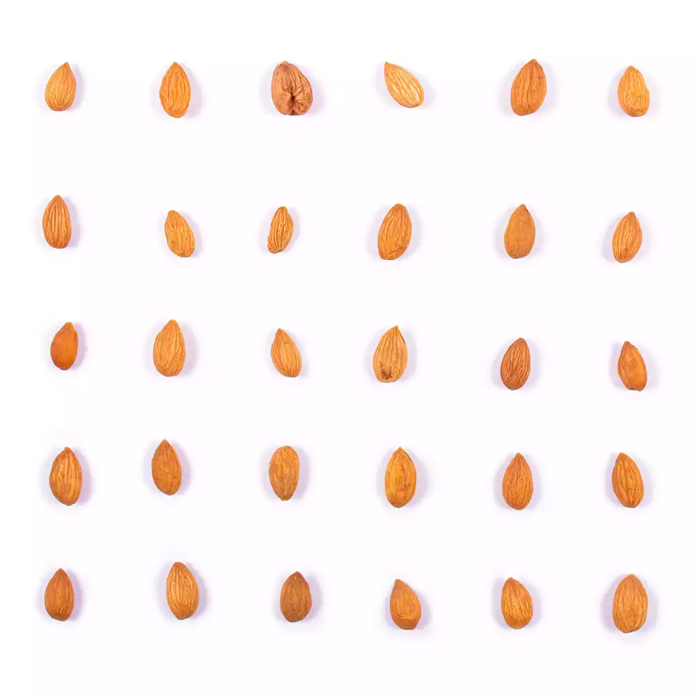 مغز هسته زردآلو خام - Image 3