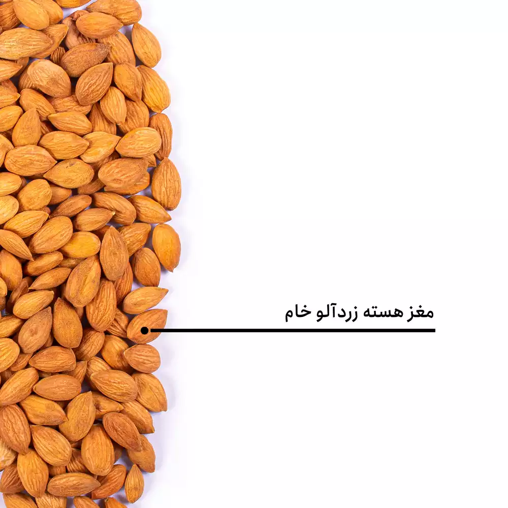 مغز هسته زردآلو خام - Image 4