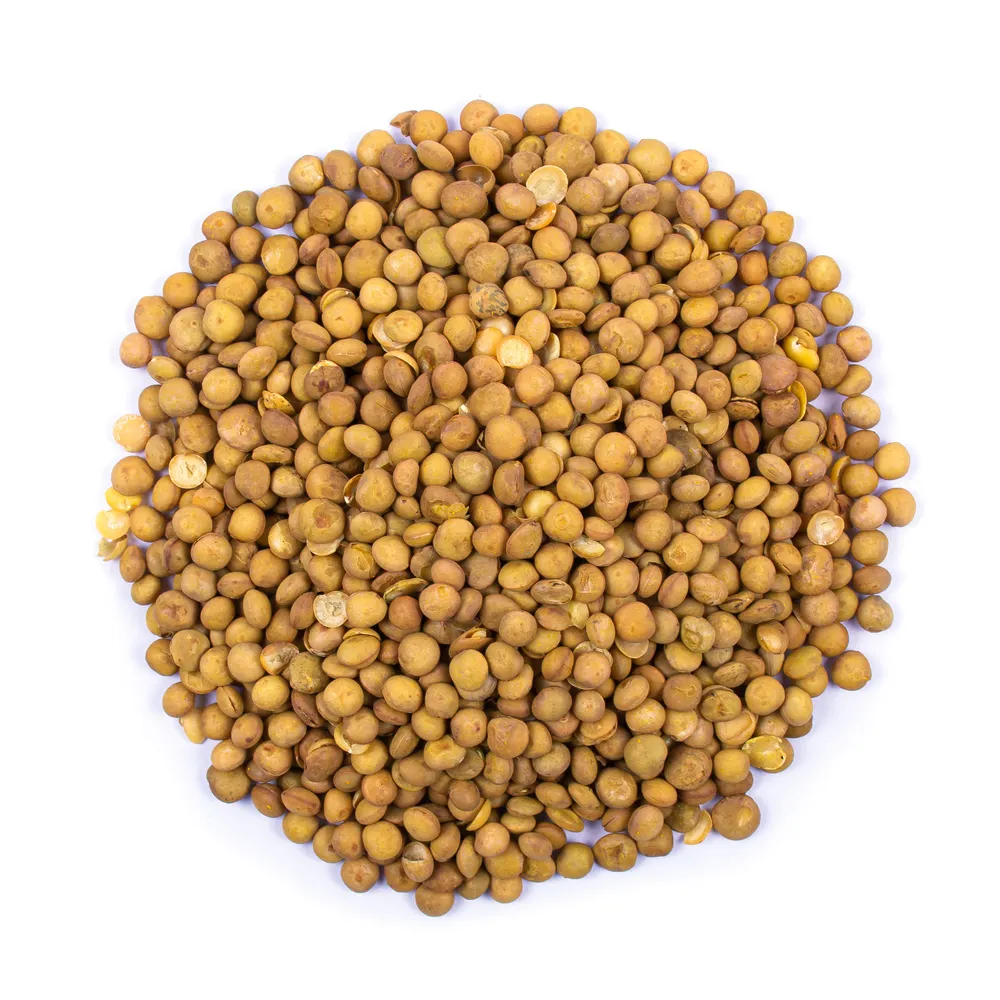 عدس برشته - Image 3