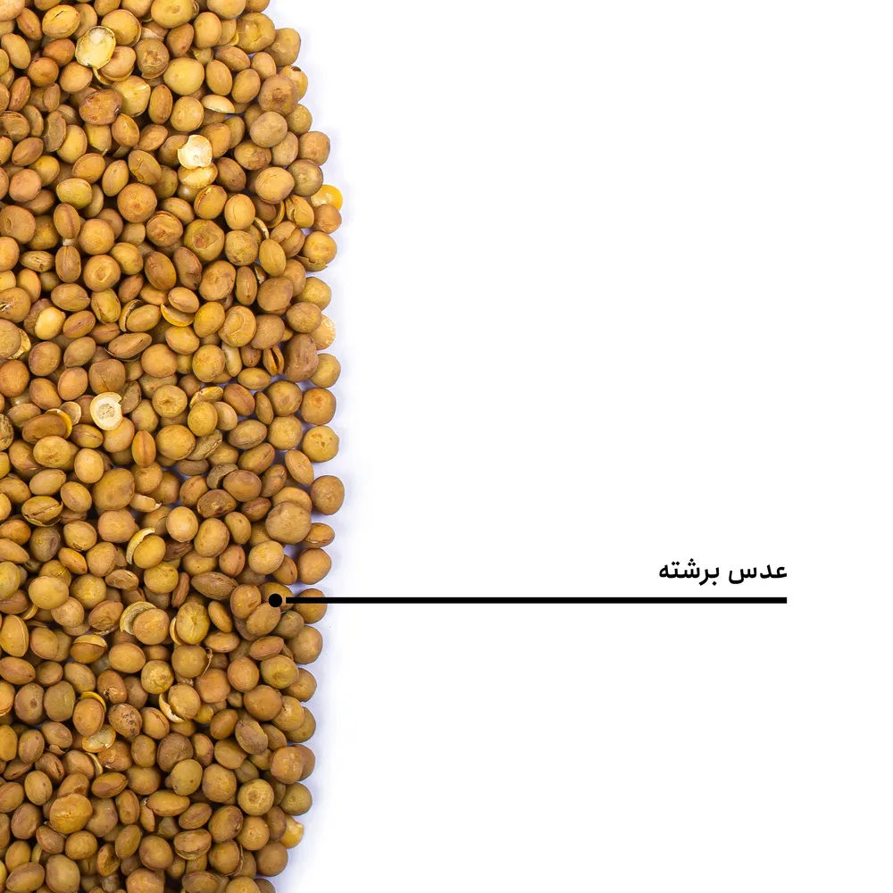 عدس برشته - Image 4