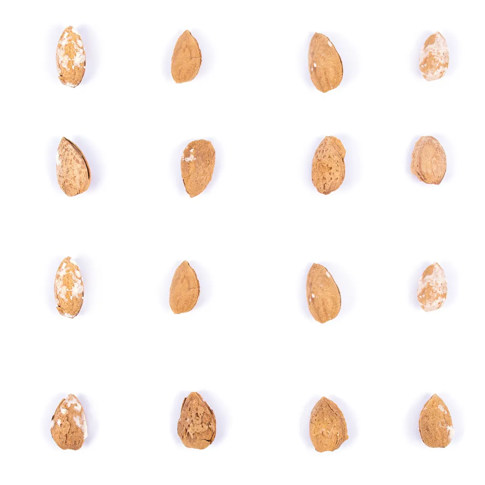 بادام منقا خارجی برشته - Image 3