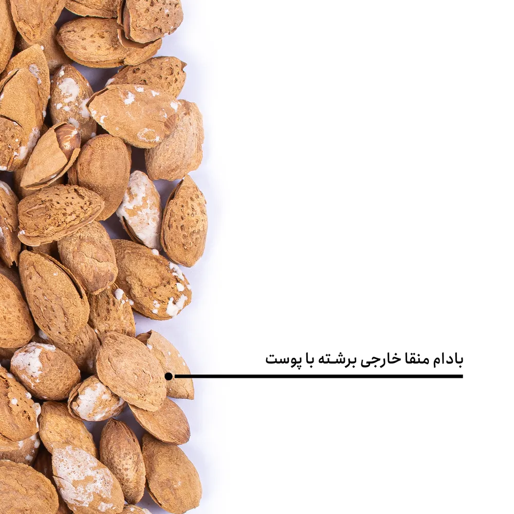 بادام منقا خارجی برشته - Image 4