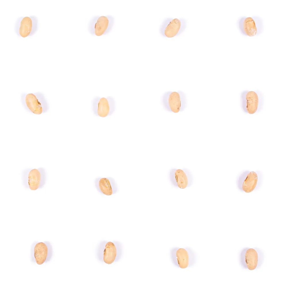 سویا برشته - Image 3