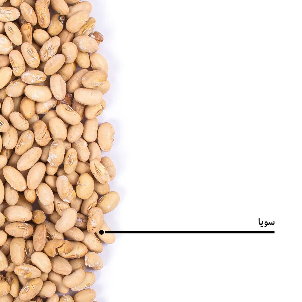 سویا برشته - Image 4