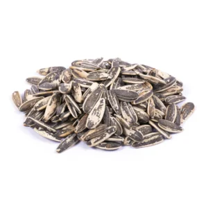 تخمه آفتابگردان برشته دور سفید اعلی