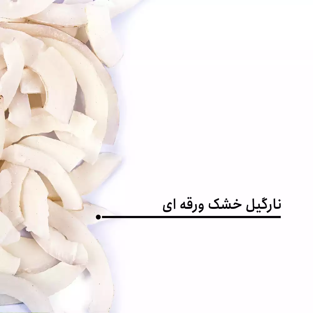 نارگیل خشک ورقه ای - Image 4