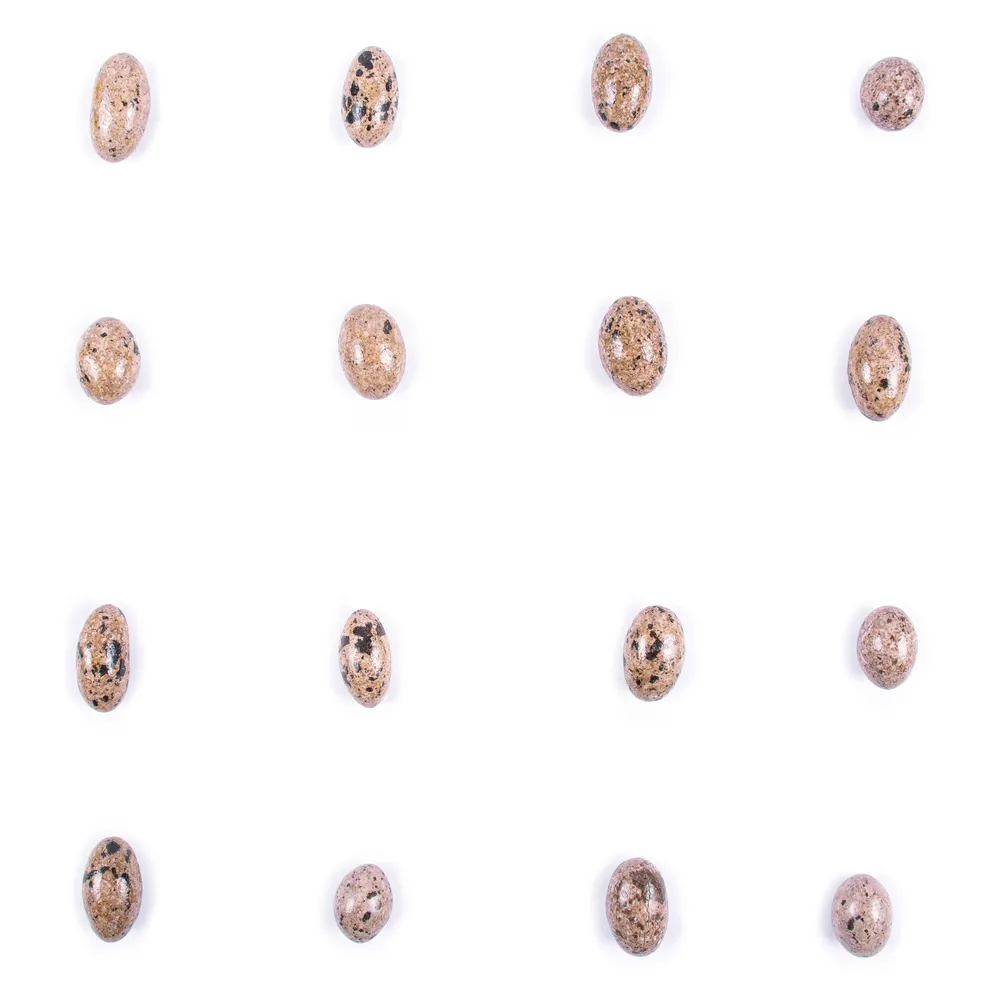 دراژه خالدار با مغز کشمش - Image 3