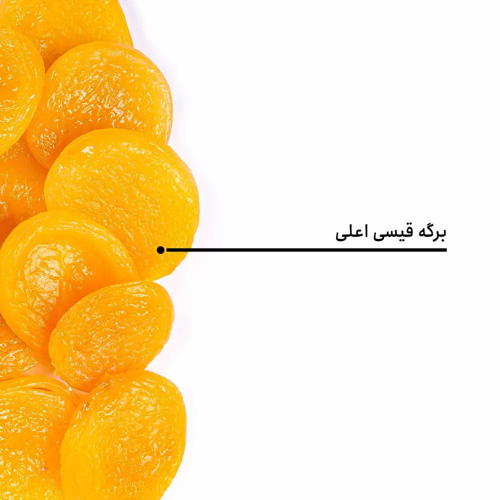 برگه قیسی اعلی - Image 4